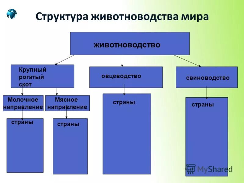 Направление животноводства в россии. Структура животноводства. Животноводство структура отрасли. Структура скотоводства.