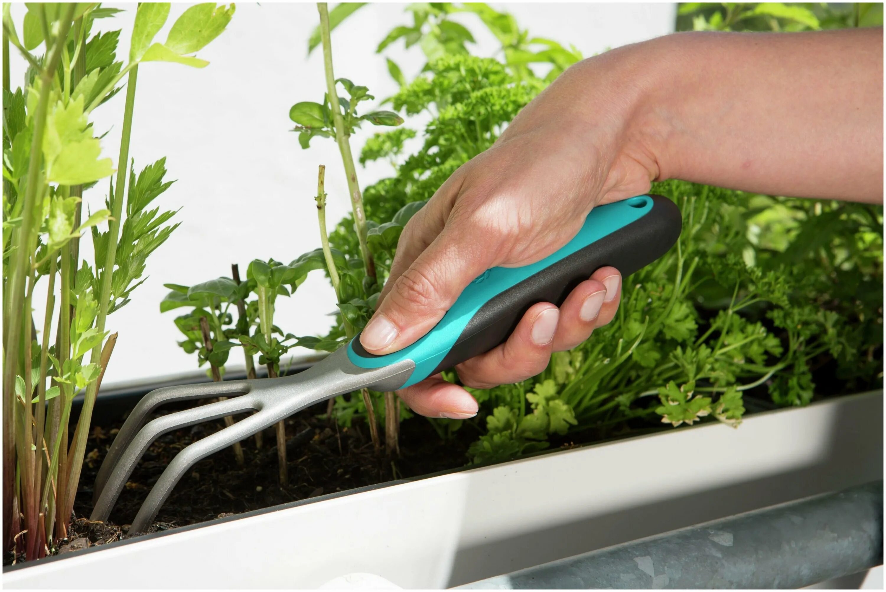 Рыхлить комнатные растения палочкой. Рыхление комнатных растений. Палочка для рыхления комнатных растений. Рыхление почвы комнатных растений. Рыхление почвы комнатных растений.