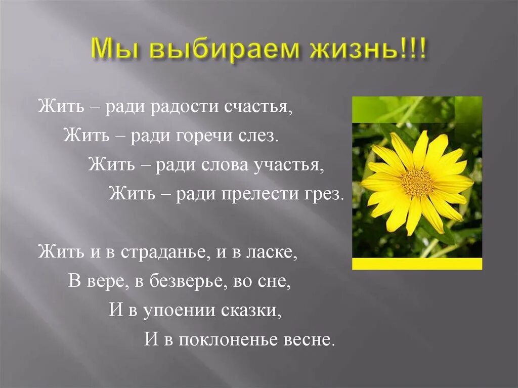 Презентация выбираю жизнь. Мы выбираем жизнь стихи. мы выбираем жизнь текст. жить ради радости и счастья. мы выбираем жизнь по закону.