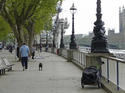 Nice walk