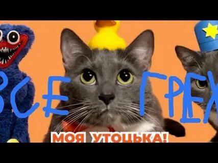 Котинет