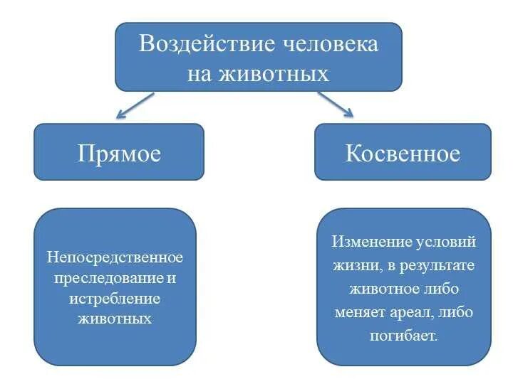 Косвенное влияние примеры. Примеры прямого и косвенного воздействия человека на животных. Прямое влияние человека на животных. Косвенное влияние человека на животных. Прямое влияние.