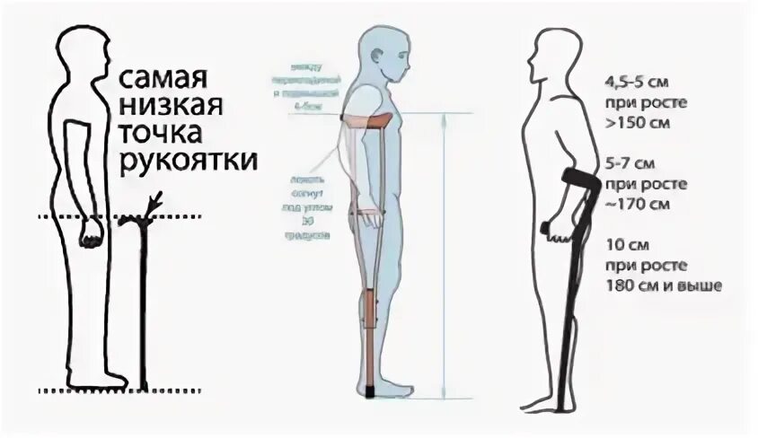 Подбор трости по росту таблица Купить ANXIAOKANG регулируемые черные трости с Т-образной ручкой, походные палки