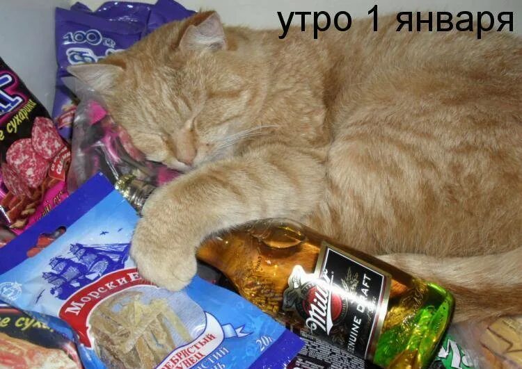 Утро после праздника. Доброе утро 1 января. 1 Января приколы. Доброе утро 1 января 2022 года. Доброе утро первое января 2022.