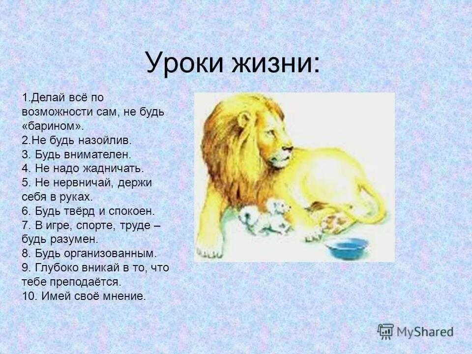 Аннотация к рассказам толстого 3 класс. План рассказа лев и собачка л.н толстого. произведение льва николаевича толстого лев и собачка. план рассказа лев и собачка толстого. рассказ льва николаевича толстого лев и собака.