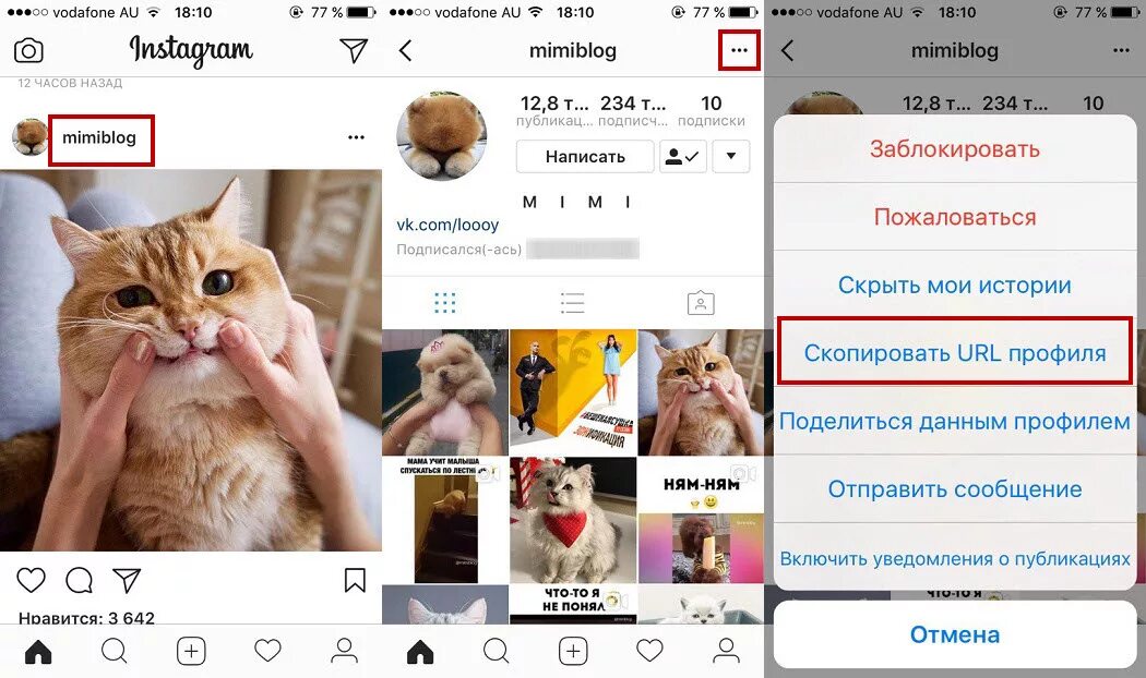 Ссылка на инстаграм на айфон. Скопировать свою ссылку в инстаграме. Скопировать URL профиля в инстаграме. Скопировать ссылку в инстаграме своего профиля. Как Скопировать ссылку в инстаграме на свой профиль.