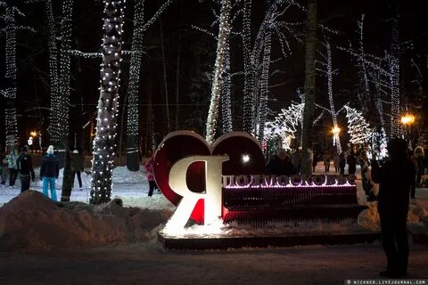 Год химки