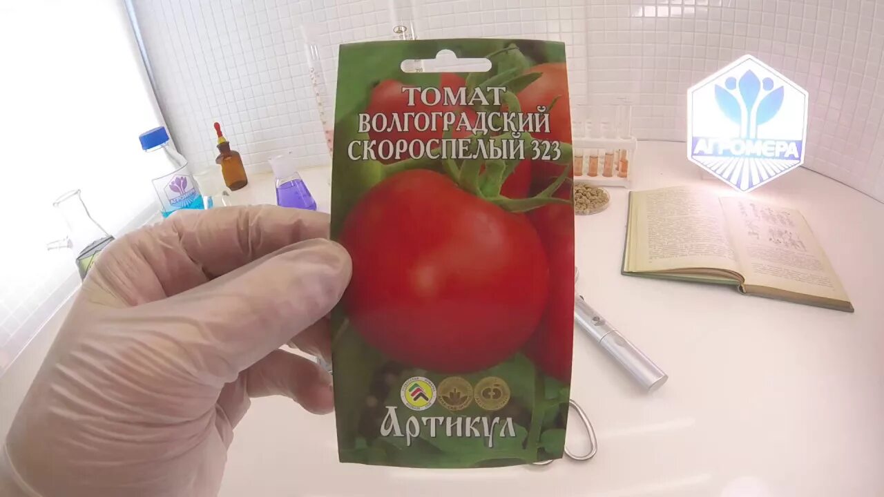 Томат ниагара описание сорта. Семена помидор хали гали. томат хали-гали f1 сдк.