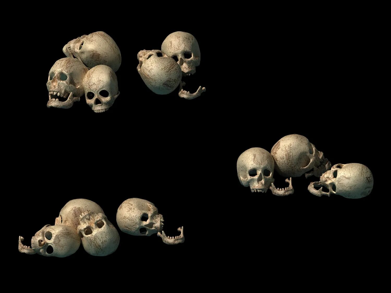 Skull 1. Skull 1