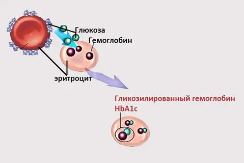 Гликозилированный гемоглобин