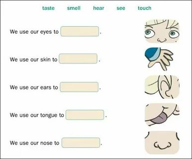 Feel taste