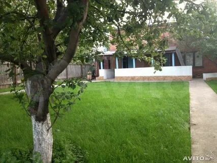 Берег 2 дачи луначарский