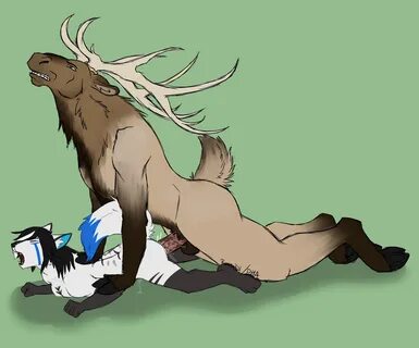 Elk stalion blowjob