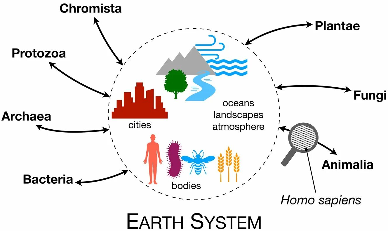 Global transformations