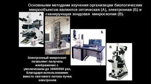 Появление электронной микроскопии позволило