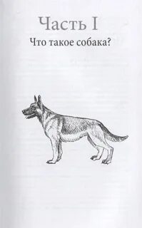 Читать книгу пес