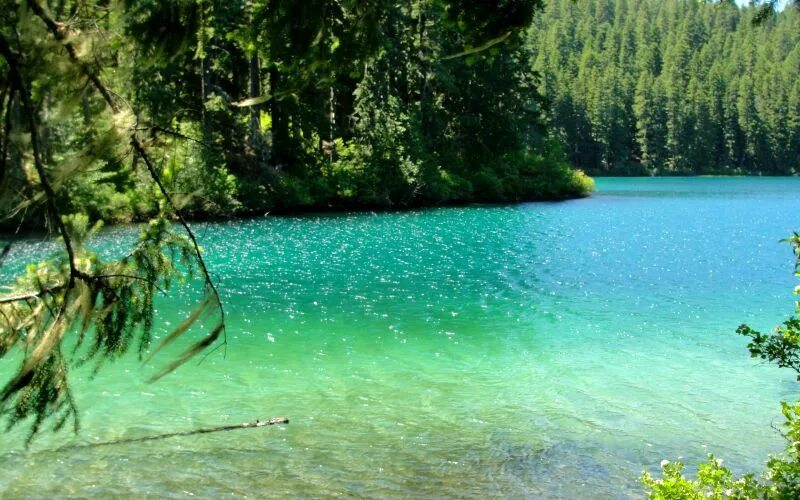 Озеро макдональд монтана сша. Изумрудный сон озеро. Сон водоем. Рыба в озере. Каскад прудов.