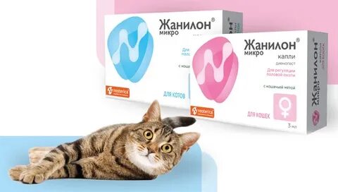 Жанилон для кошек