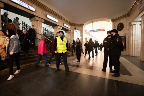 Оранжевая ветка спб