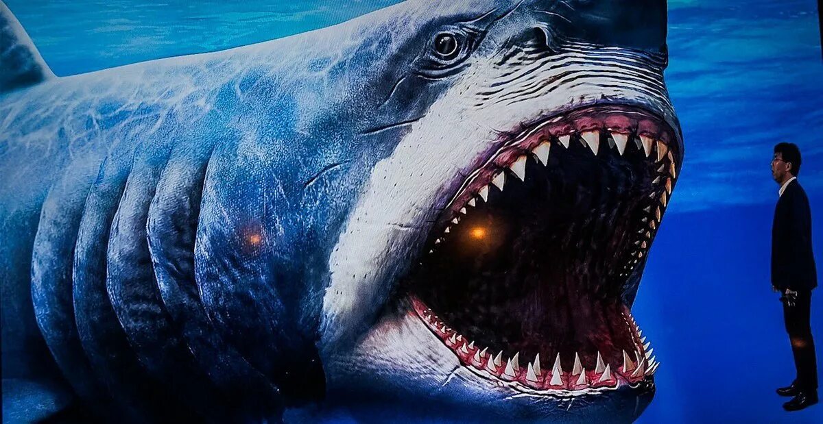 Нападение акулы мегалодон. Акулы 3: мегалодон фильм 2002. Мегалодон фильм 2002 марк. Акулы мегалодон 2002. Акулы мегалодон 2002.