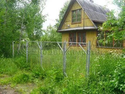 Снт восход продаю