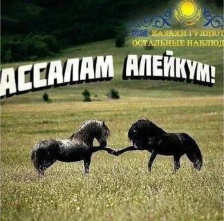 Салам бирам