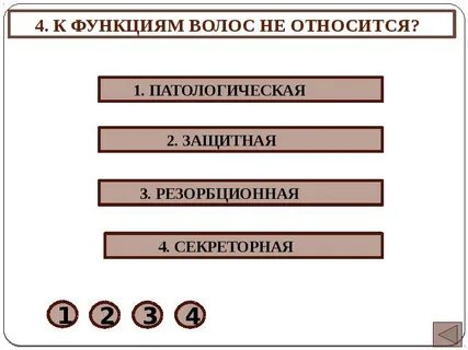 Функции волос