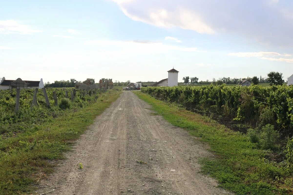 Село юровка. Село юровка краснодарский край. село юровка анапский район. анапа село юровка. село юровка анапский район достопримечательности.
