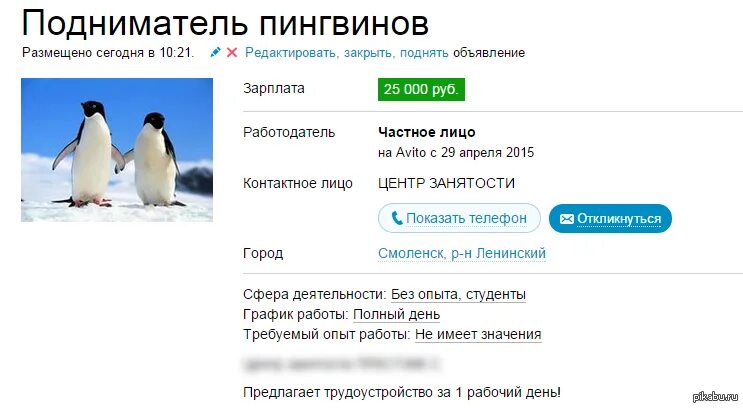Подниматель пингвинов вакансии. Переворачиватель пингвинов профессия. подниматель пингвинов профессия. требуется переворачиватель пингвинов.