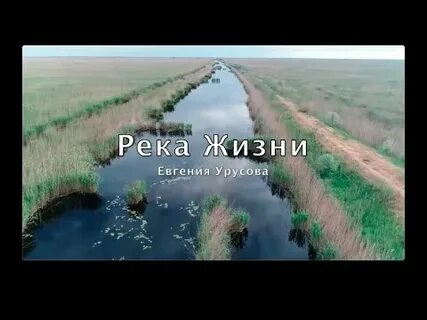 Река жизнь почему