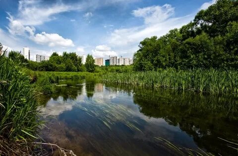 Красота сходня