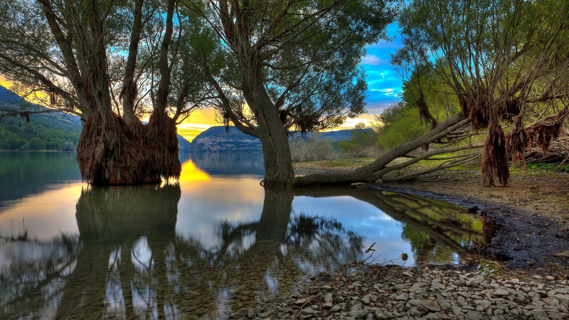 Озеро Камекуаро Мексика. Дерево у озера. Дерево у воды. Дерево над озером. Звук берега озера