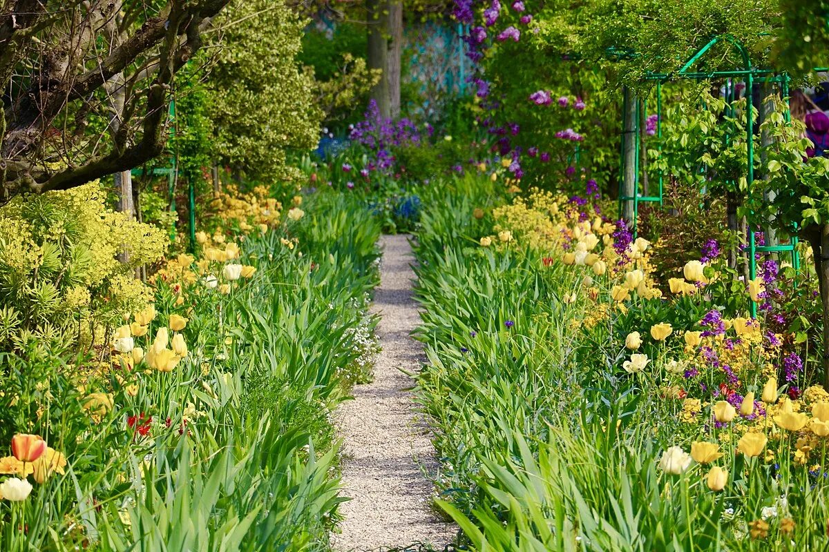 Look there is in the garden