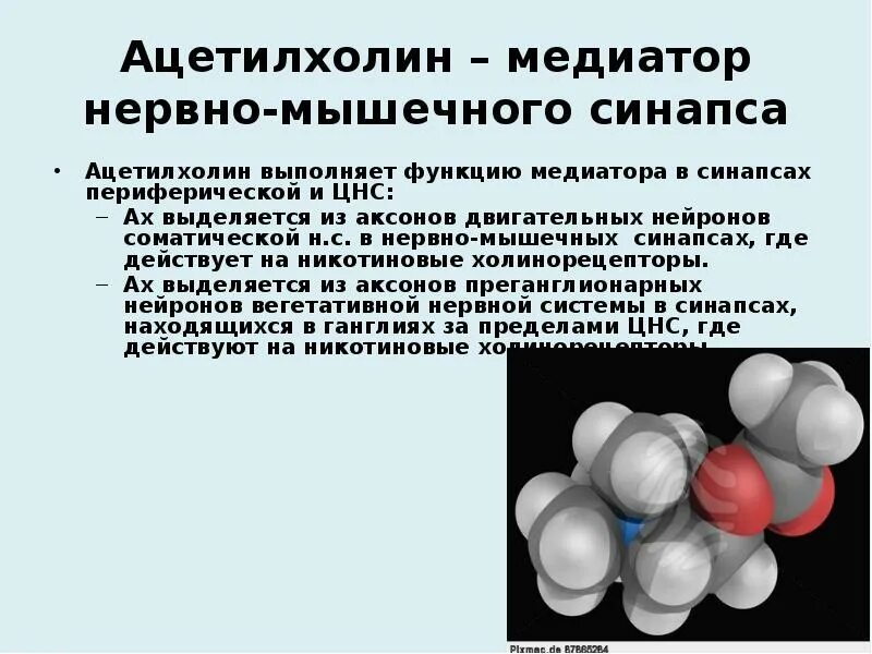 Нейромедиатор ацетилхолин. Ацетилхолин структура. Функция гормона ацетилхолина. Ацетилхолин структурная формула.