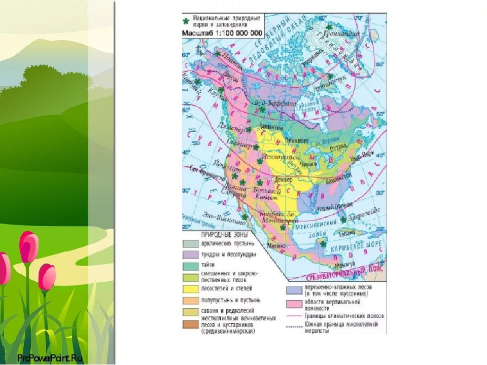 Природные зоны Северной Америки атлас. Карта природных зон Северной Америки. Природные зоны Канады. Карта природных зон Америки. Природные зоны и их основные особенности америки