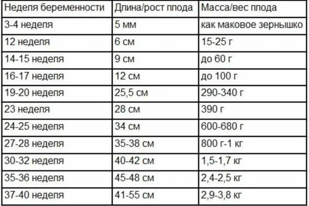 Сколько недель между. 32 Неделя беременности сколько месяцев. 30 Недель беременности сколько месяцев. 32 Недели беременности скоько мес. 32 Неделя беременности это сколько месяцев беременности.