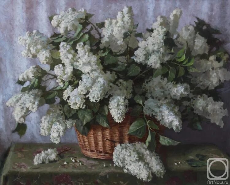 Белая сирень маслом. Картина белая сирень. Картина белая сирень. Белая сирень маслом. Сирень белая куст.