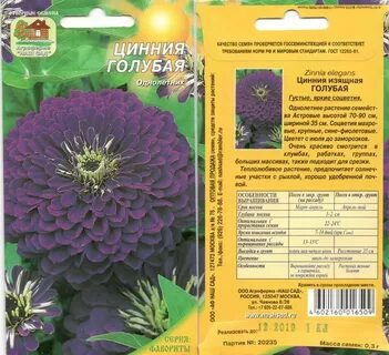 Название цветов семена