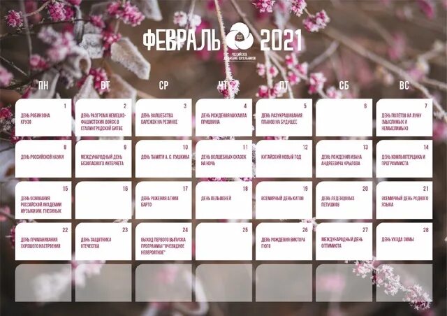 Программа на февраль 2025