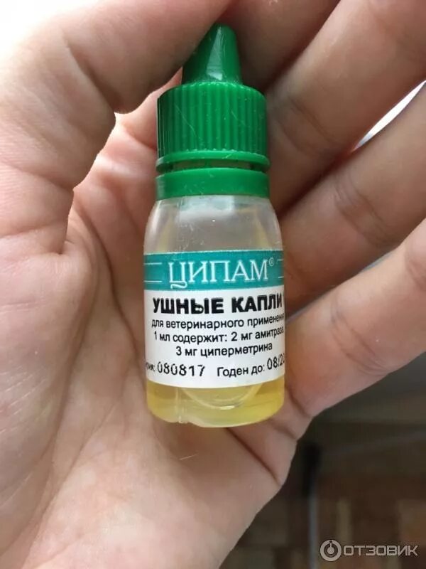 Лучшие капли от ушного клеща для кошек. Цамакс ципам капли ушные 10мл. ципам ушные капли, 10 мл. ципам ушные капли для кошек. капли от ушного клеща.