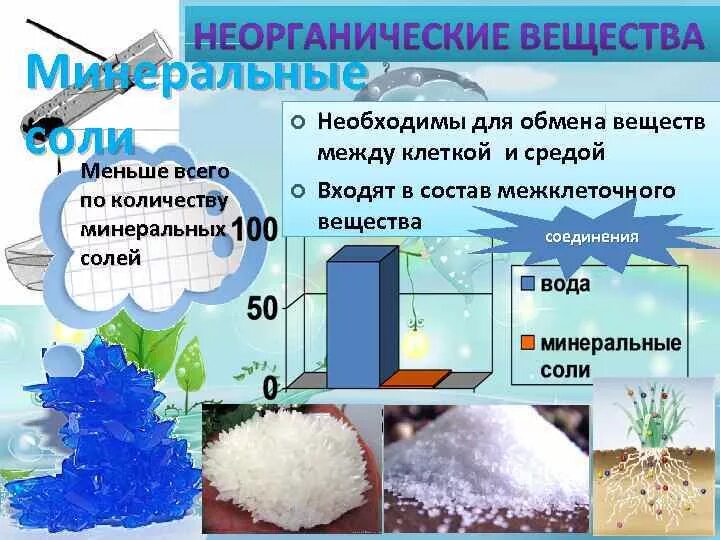 Обмен воды и Минеральных солей схема. Обмен Минеральных веществ схема. Обмен Минеральных солей. Минеральные соли обмен веществ.