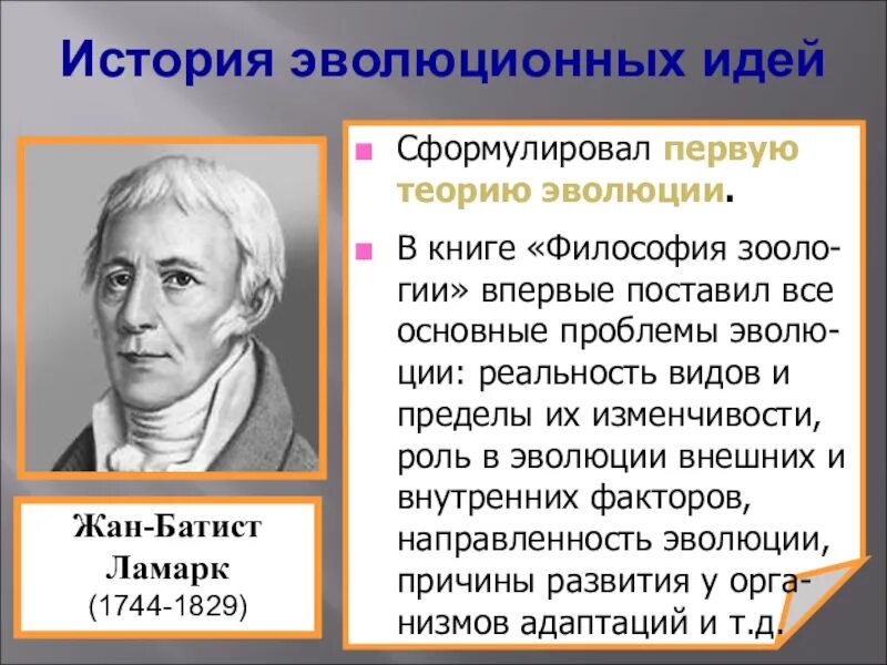 Первой эволюционной теорией является. История эволюционных идей. Эволюционное учение. Первое эволюционная теория. Первые эволюционные концепции.