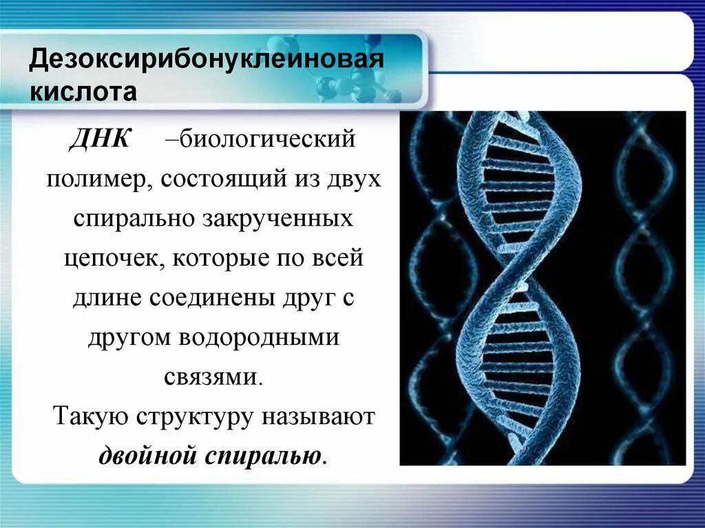 ДНК определение. ДНК это в биологии. Дезоксирибонуклеиновая кислота. Установление структуры ДНК.