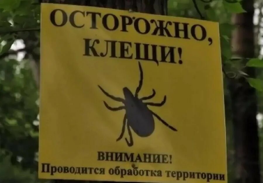 Клещи территория. Внимание территория обработана от клещей. осторожно клещей. обработано от клещей. табличка обработка от клещей.