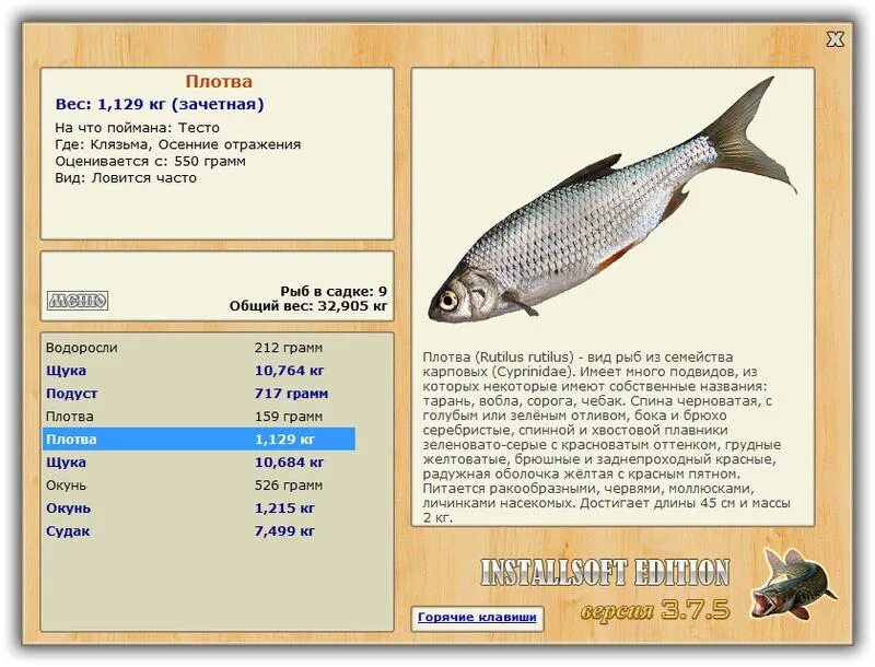 Хищная рыба в клязьме. Русская рыбалка 3 вуокса язь. Русская рыбалка 3 клязьма судак. Семейство окуневых рыб. Какие рыбы обитают в реке клязьма.