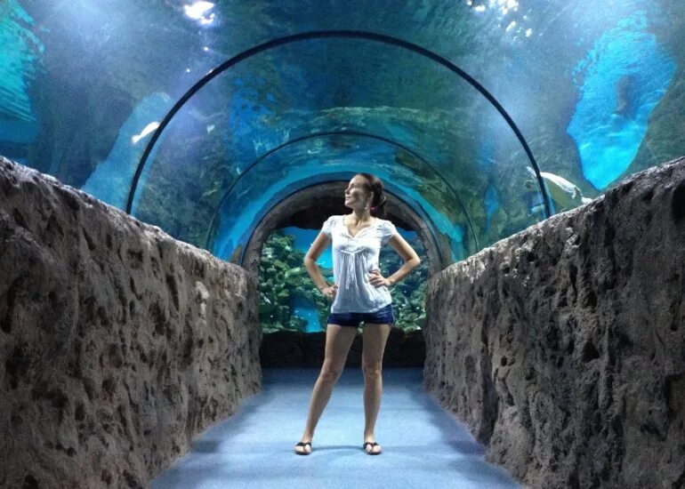 Можете сходить. Девушка в океанариуме. Фотосессия в океанариуме. Девочка в океанариуме. Фотосессия в океанариуме красивая.