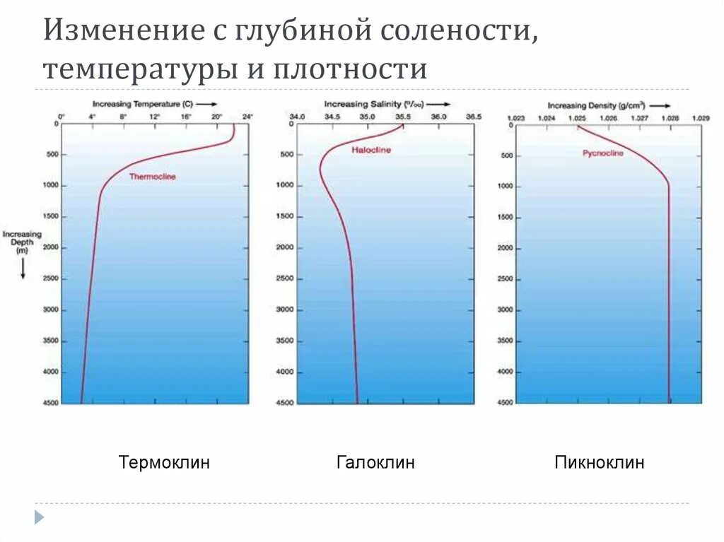 Изменение солености с глубиной. Изменение температуры воды с глубиной. Распределение температуры с глубиной. Темпиратуры и солёности воды.