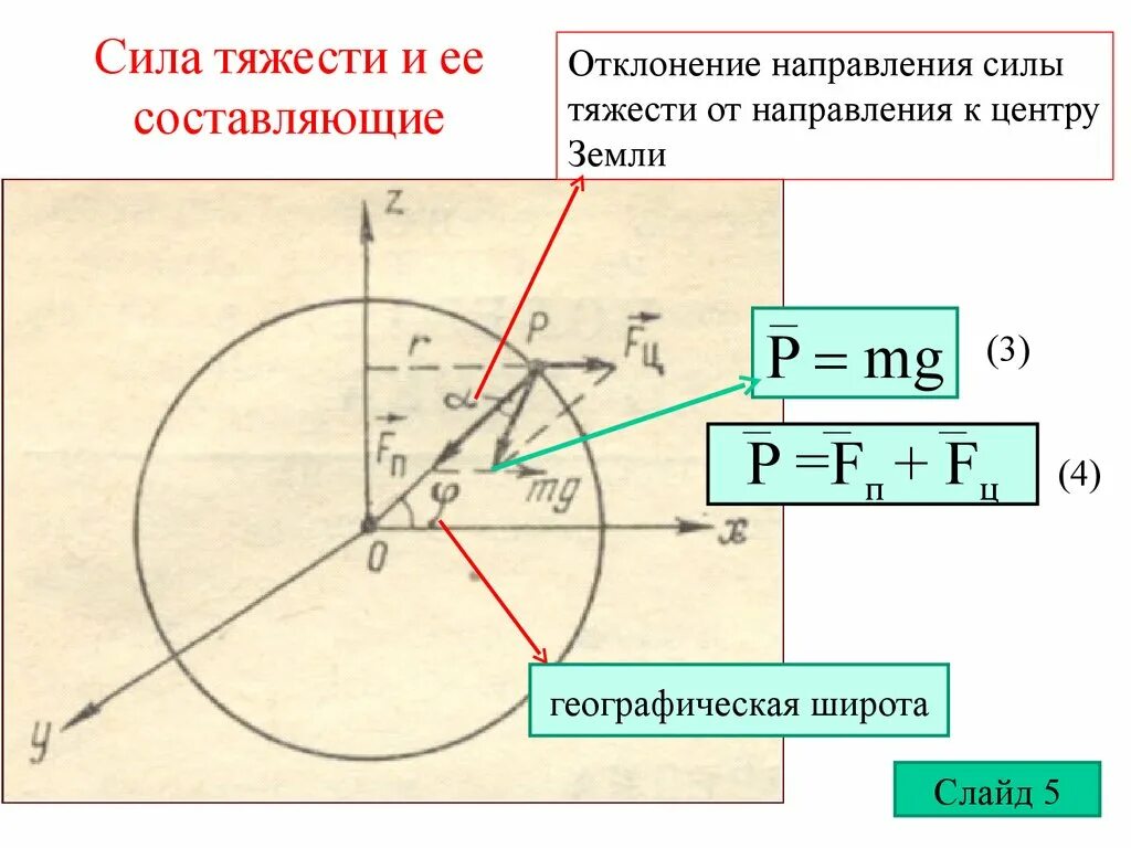 Сила тяжести направлена к центру земли. Составляющая силы тяжести. Направление силы тяжести. Составляющие силы тяжести. Сила тяжести и ее составляющие.