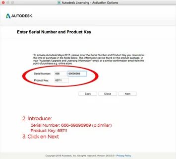 Autodesk license service