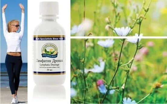 Лимфатик бады для детей. Нсп для очищения лимфы. Лимфатик нсп. Лимфатик дренаж nsp. Сок алоэ нсп.
